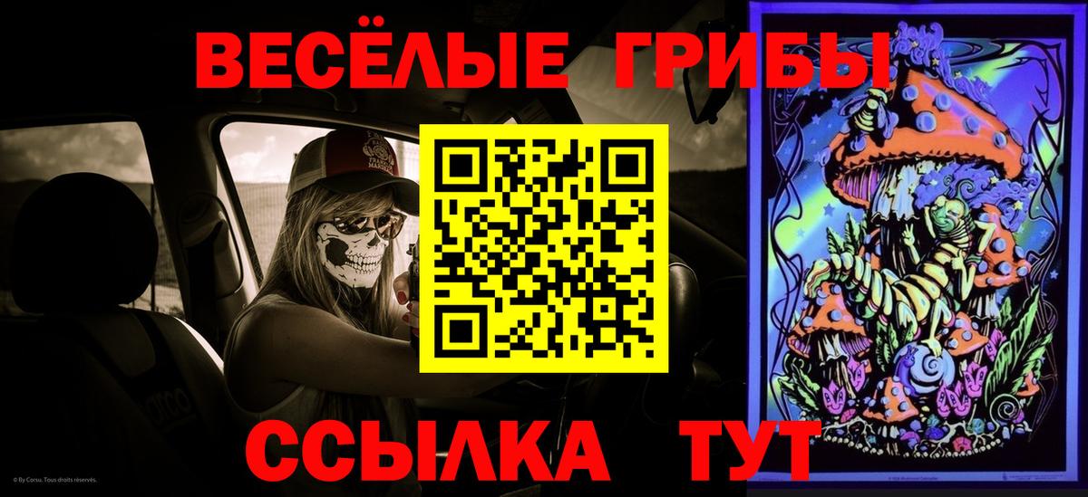 Звенигород  Псилоцибиновые грибы Cubensis  Галлюциногенные грибы ЛСД  Вход с VPN 